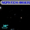 NGP9 F324-0016351