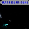 IRAS F13175+3141