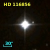 HD 116856
