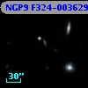 NGP9 F324-0036299