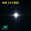 HD 117302