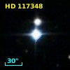 HD 117348