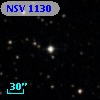 NSV  1130