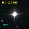 HD 117243