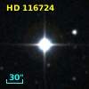 HD 116724