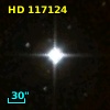 HD 117124