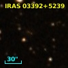 IRAS 03392+5239