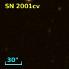 SN 2001cv