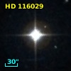 HD 116029