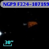 NGP9 F324-1071895