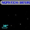 NGP9 F324-1071955