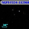 NGP9 F324-1129603