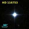 HD 116753