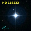 HD 116233