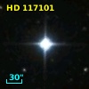 HD 117101