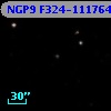 NGP9 F324-1117646