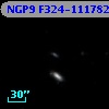 NGP9 F324-1117820