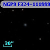 NGP9 F324-1118891
