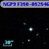 NGP9 F380-0828469