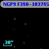 NGP9 F380-1037855