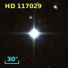 HD 117029