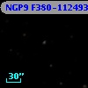 NGP9 F380-1124933