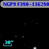 NGP9 F380-1162804
