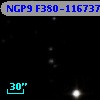NGP9 F380-1167375