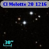 Cl Melotte   20  1216