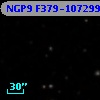 NGP9 F379-1072997