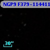 NGP9 F379-1144117