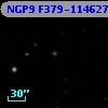 NGP9 F379-1146275
