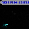 NGP9 F380-1285996