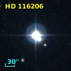HD 116206