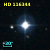 HD 116344