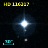 HD 116317