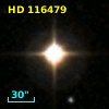 HD 116479
