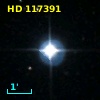 HD 117391