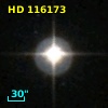 HD 116173
