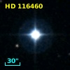 HD 116460