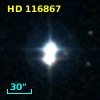 HD 116867