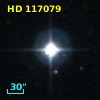 HD 117079