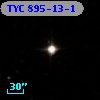 TYC  895-13-1