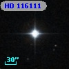 HD 116111