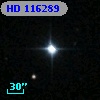HD 116289