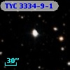 TYC 3334-9-1