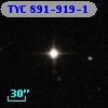 TYC  891-919-1