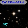 TYC 3334-373-1