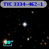 TYC 3334-462-1