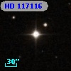 HD 117116